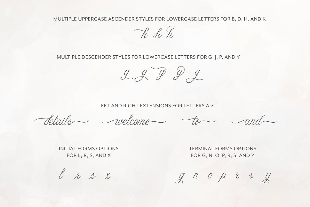 Ellabette Script Font