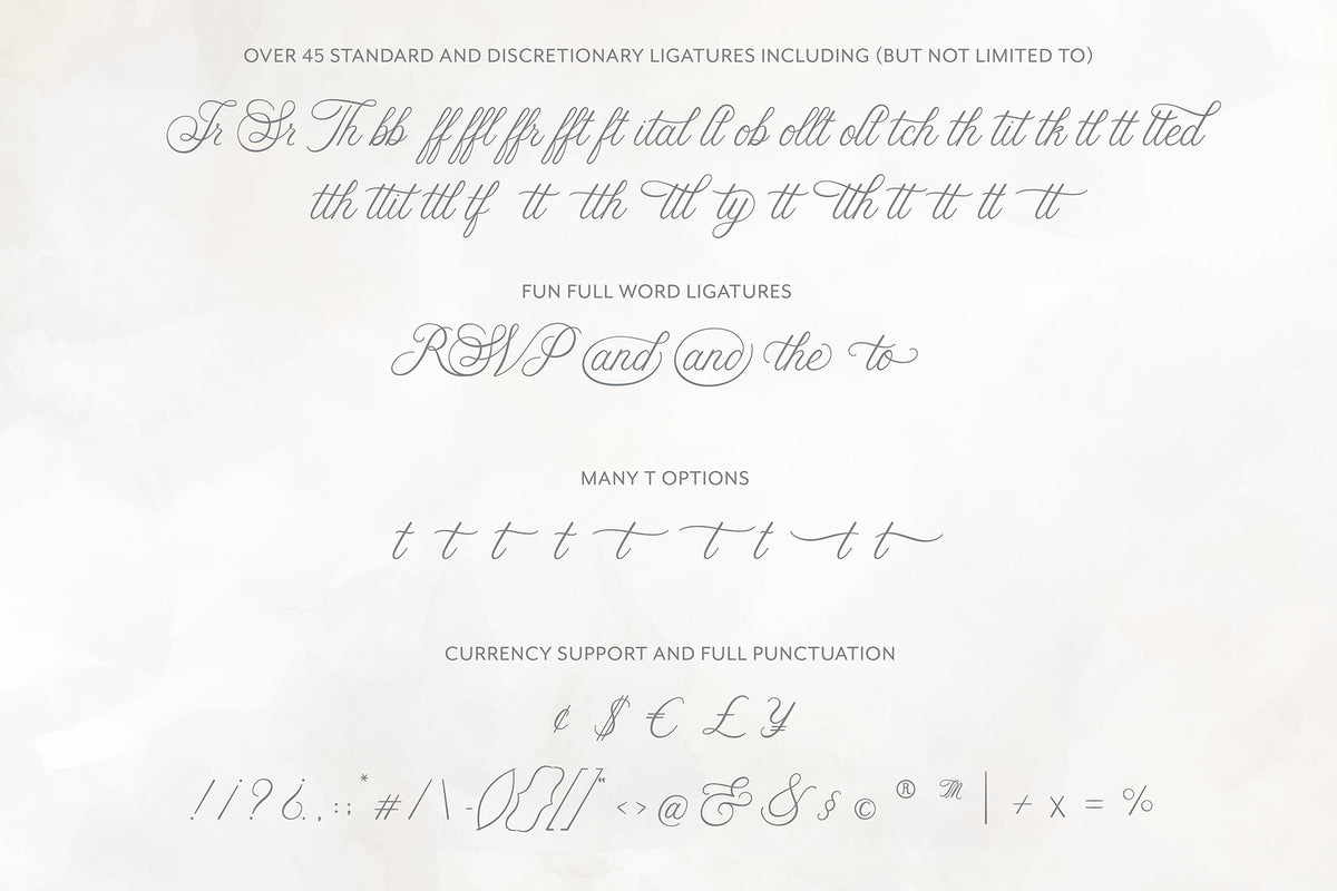 Ellabette Script Font