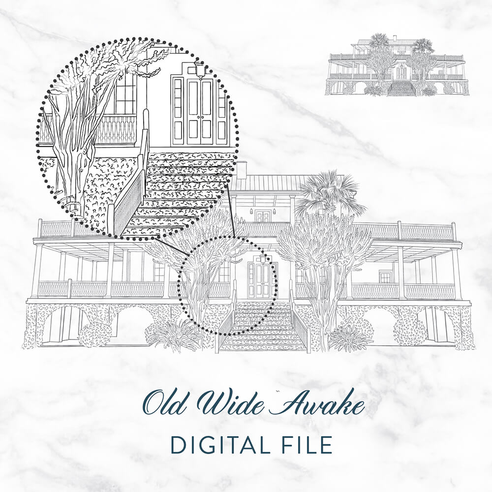 Old Wide Awake Sketch Digital File